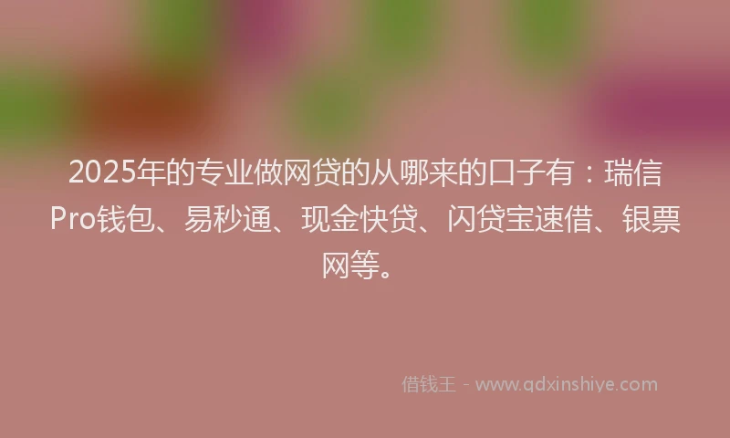 2025年的专业做网贷的从哪来的口子有：瑞信Pro钱包、易秒通、现金快贷、闪贷宝速借、银票网等。