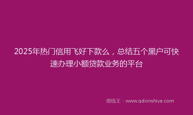 2025年热门信用飞好下款么，总结五个黑户可快速办理小额贷款业务的平台