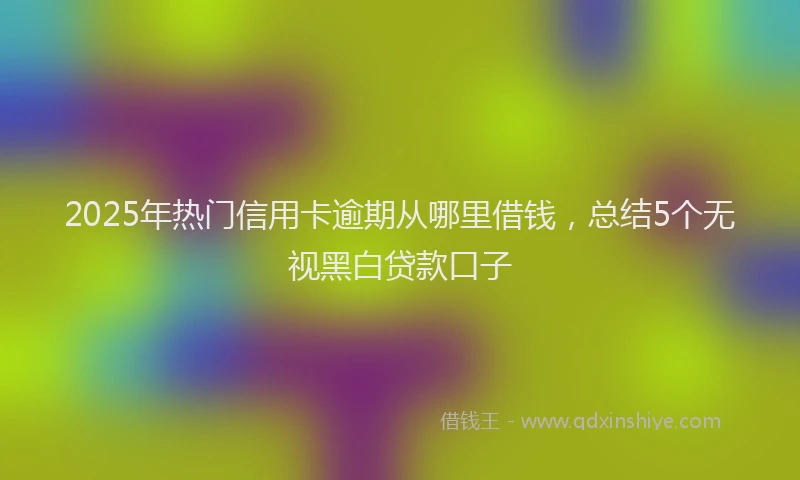 2025年热门信用卡逾期从哪里借钱，总结5个无视黑白贷款口子