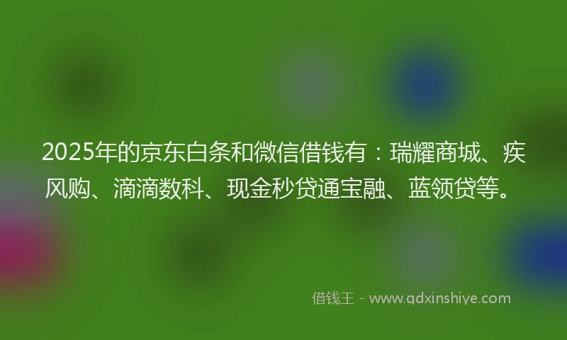 2025年的京东白条和微信借钱有：瑞耀商城、疾风购、滴滴数科、现金秒贷通宝融、蓝领贷等。