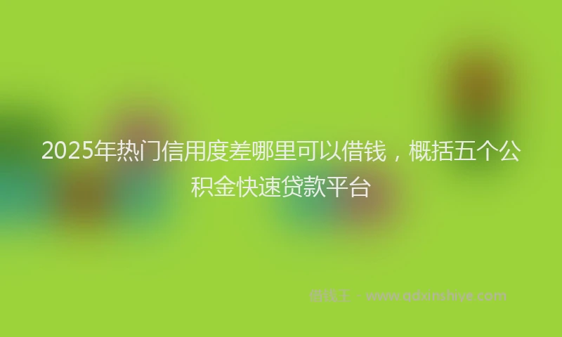 2025年热门信用度差哪里可以借钱，概括五个公积金快速贷款平台