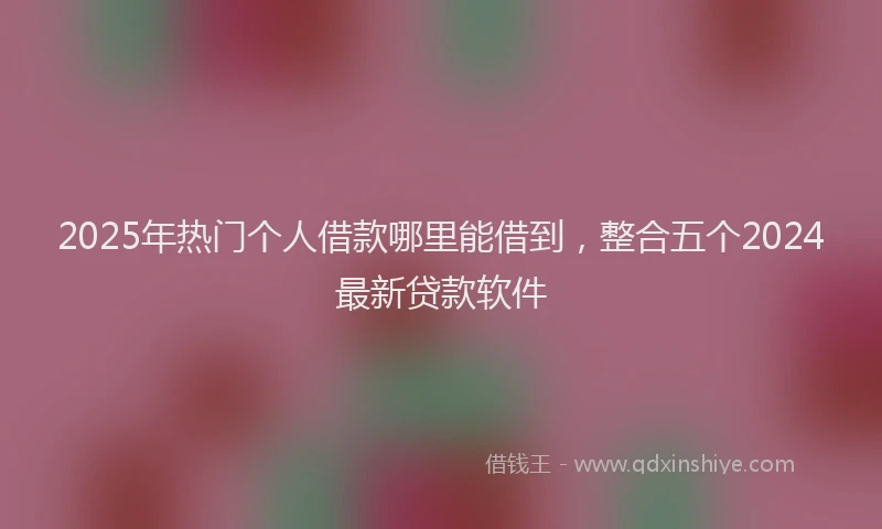 2025年热门个人借款哪里能借到，整合五个2024最新贷款软件
