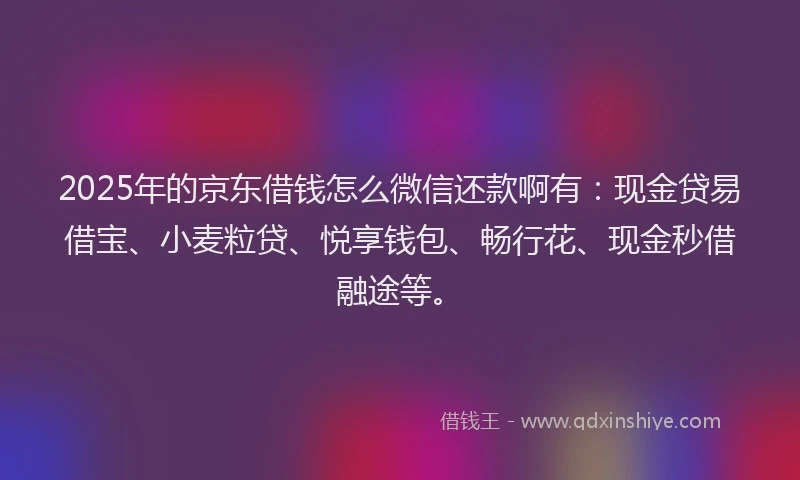 2025年的京东借钱怎么微信还款啊有：现金贷易借宝、小麦粒贷、悦享钱包、畅行花、现金秒借融途等。