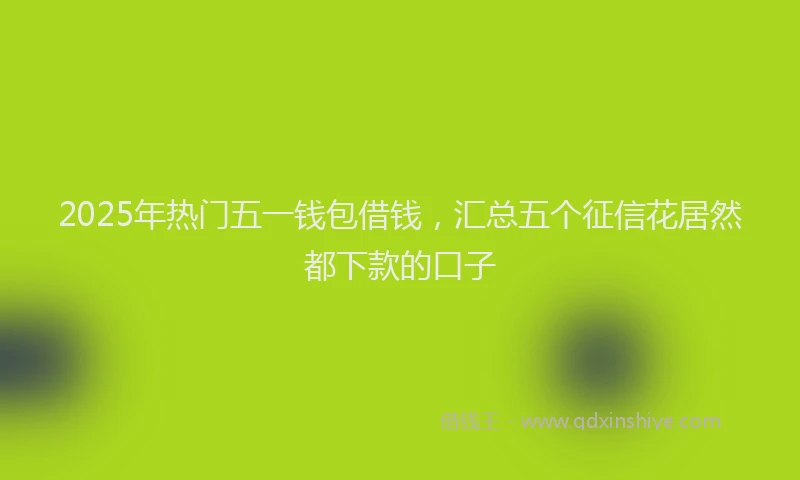 2025年热门五一钱包借钱，汇总五个征信花居然都下款的口子