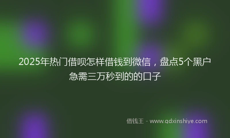 2025年热门借呗怎样借钱到微信，盘点5个黑户急需三万秒到的的口子