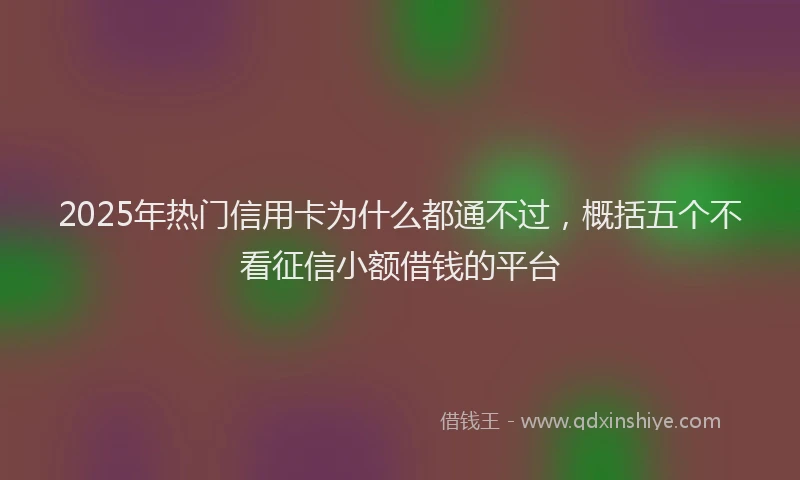 2025年热门信用卡为什么都通不过，概括五个不看征信小额借钱的平台