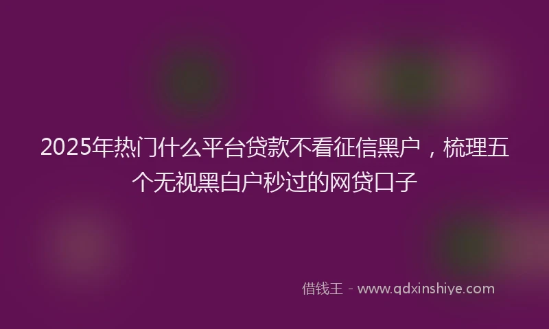 2025年热门什么平台贷款不看征信黑户，梳理五个无视黑白户秒过的网贷口子