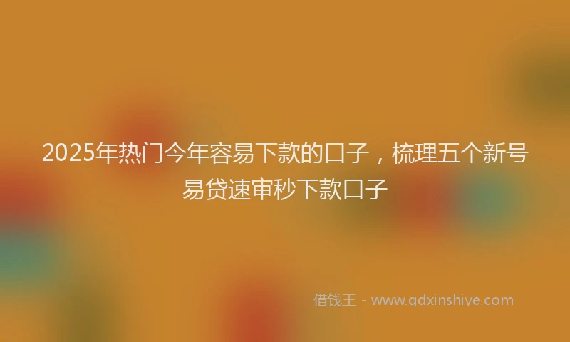 2025年热门今年容易下款的口子，梳理五个新号易贷速审秒下款口子
