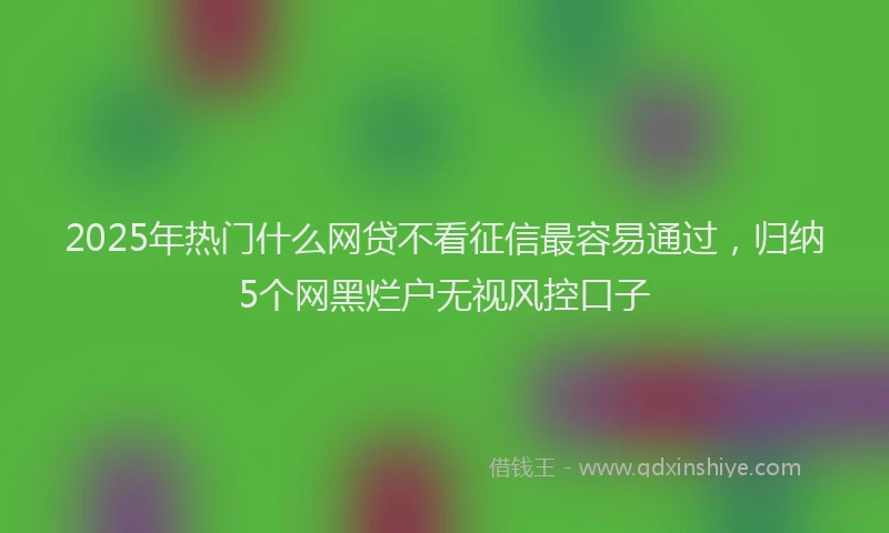 2025年热门什么网贷不看征信最容易通过，归纳5个网黑烂户无视风控口子