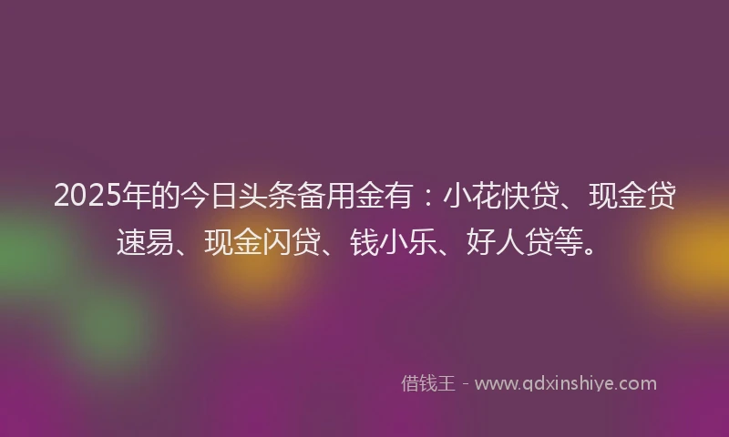 2025年的今日头条备用金有：小花快贷、现金贷速易、现金闪贷、钱小乐、好人贷等。