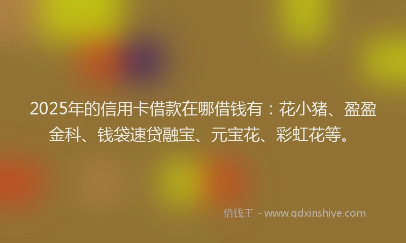 2025年的信用卡借款在哪借钱有：花小猪、盈盈金科、钱袋速贷融宝、元宝花、彩虹花等。