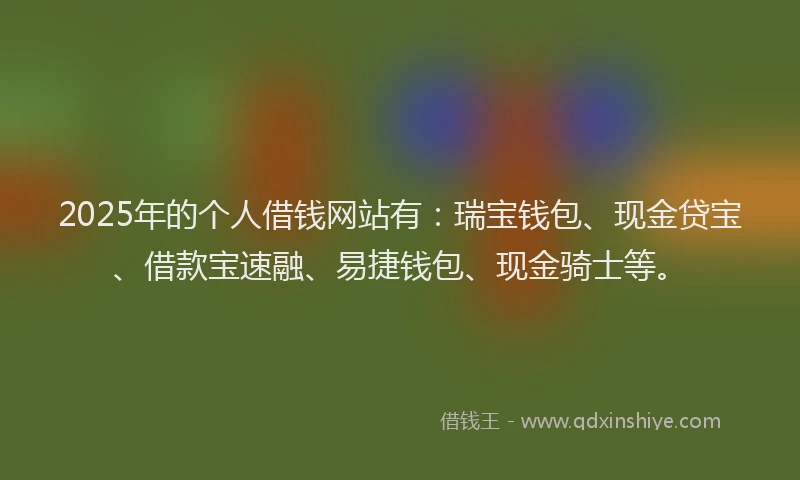 2025年的个人借钱网站有：瑞宝钱包、现金贷宝、借款宝速融、易捷钱包、现金骑士等。