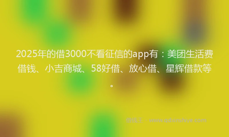 2025年的借3000不看征信的app有：美团生活费借钱、小吉商城、58好借、放心借、星辉借款等。