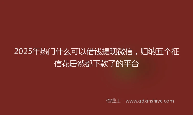 2025年热门什么可以借钱提现微信，归纳五个征信花居然都下款了的平台