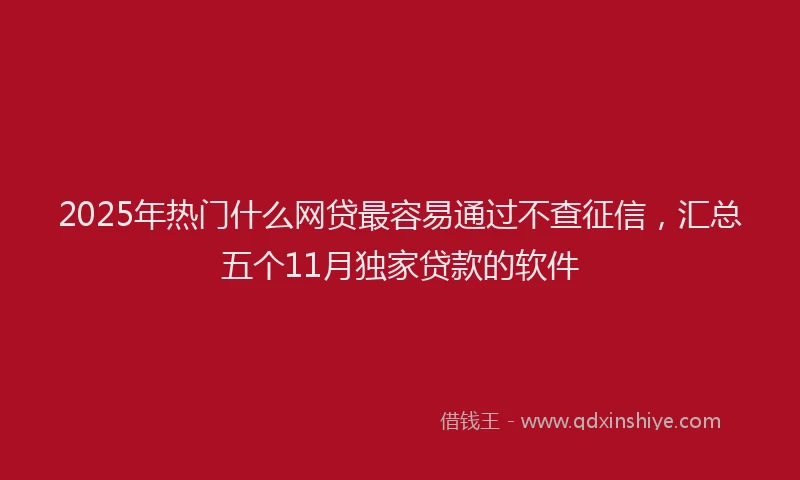 2025年热门什么网贷最容易通过不查征信，汇总五个11月独家贷款的软件