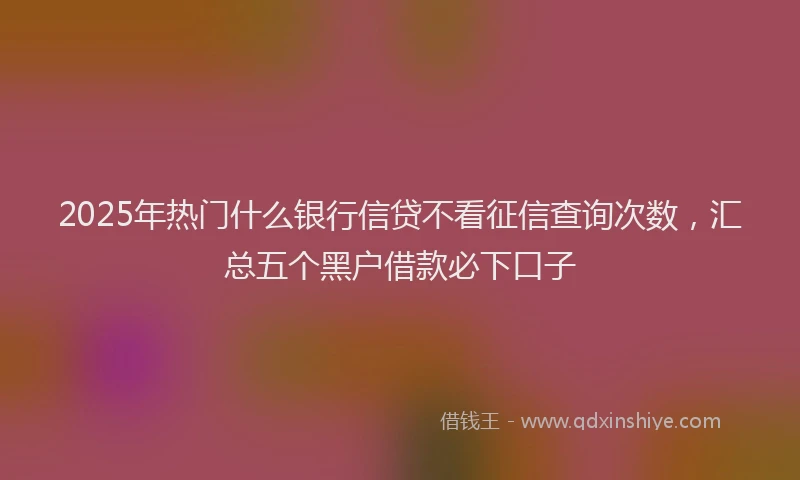 2025年热门什么银行信贷不看征信查询次数，汇总五个黑户借款必下口子