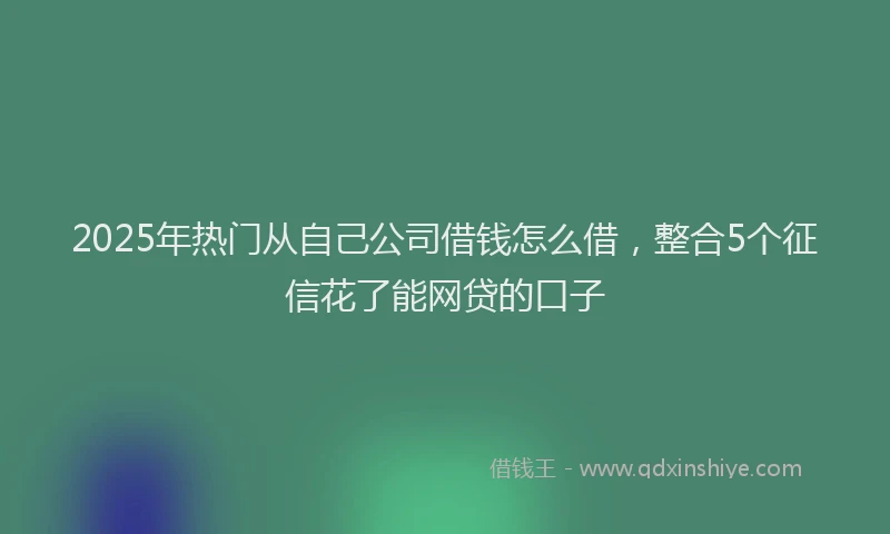 2025年热门从自己公司借钱怎么借，整合5个征信花了能网贷的口子