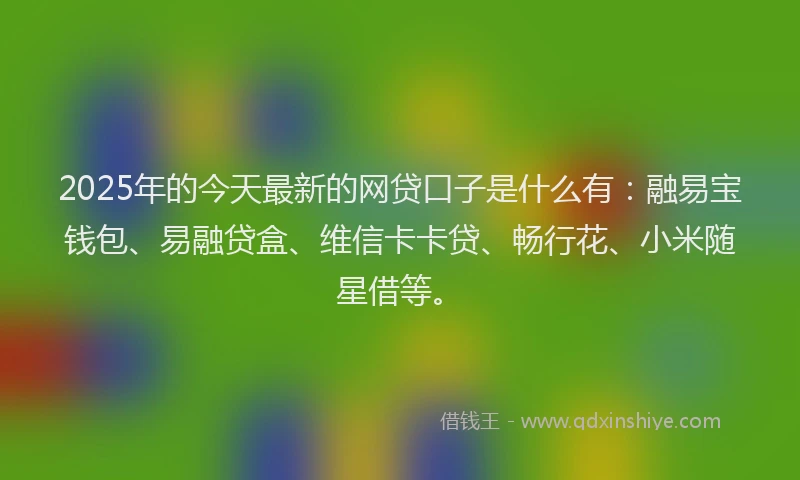 2025年的今天最新的网贷口子是什么有：融易宝钱包、易融贷盒、维信卡卡贷、畅行花、小米随星借等。