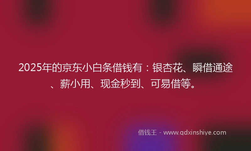 2025年的京东小白条借钱有：银杏花、瞬借通途、薪小用、现金秒到、可易借等。