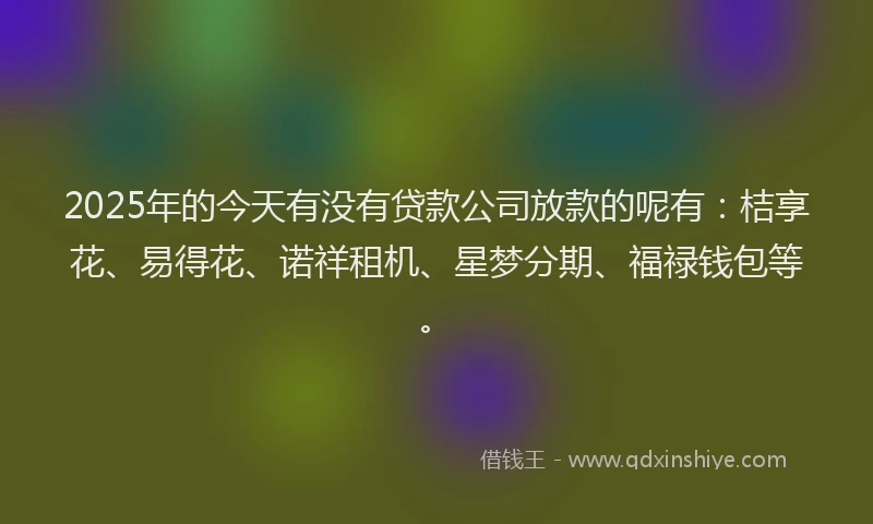 2025年的今天有没有贷款公司放款的呢有：桔享花、易得花、诺祥租机、星梦分期、福禄钱包等。