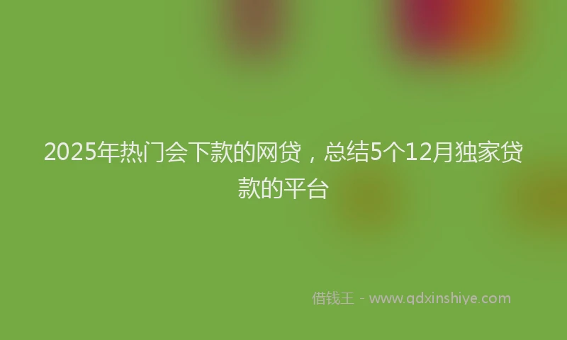 2025年热门会下款的网贷，总结5个12月独家贷款的平台