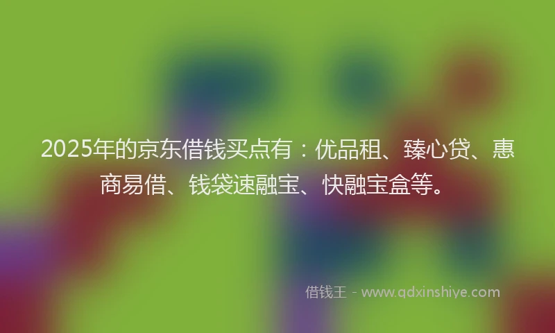 2025年的京东借钱买点有：优品租、臻心贷、惠商易借、钱袋速融宝、快融宝盒等。