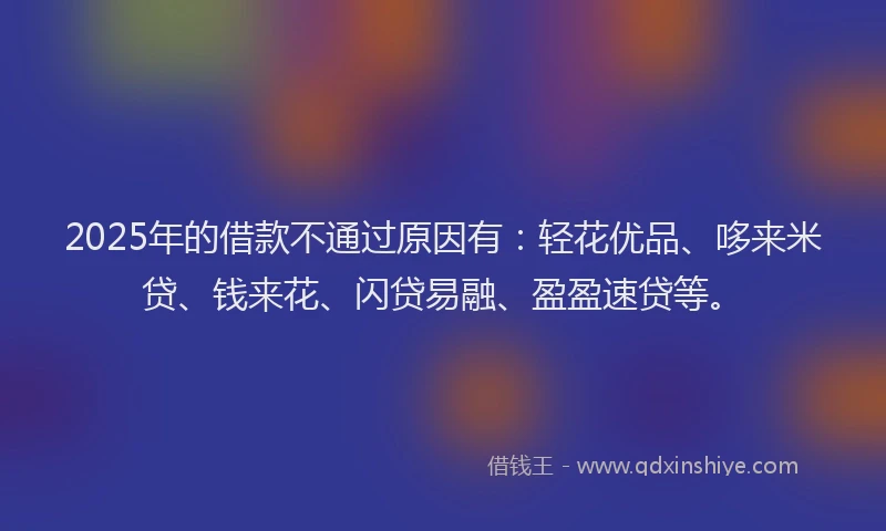 2025年的借款不通过原因有：轻花优品、哆来米贷、钱来花、闪贷易融、盈盈速贷等。