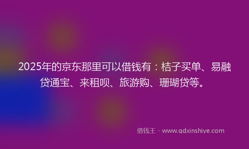 2025年的京东那里可以借钱有：桔子买单、易融贷通宝、来租呗、旅游购、珊瑚贷等。