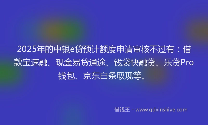 2025年的中银e贷预计额度申请审核不过有：借款宝速融、现金易贷通途、钱袋快融贷、乐贷Pro钱包、京东白条取现等。