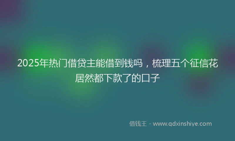 2025年热门借贷主能借到钱吗，梳理五个征信花居然都下款了的口子