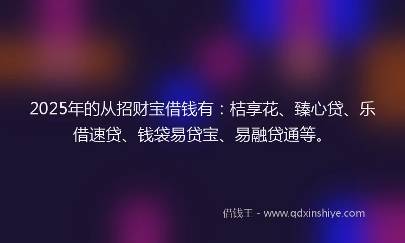 2025年的从招财宝借钱有：桔享花、臻心贷、乐借速贷、钱袋易贷宝、易融贷通等。