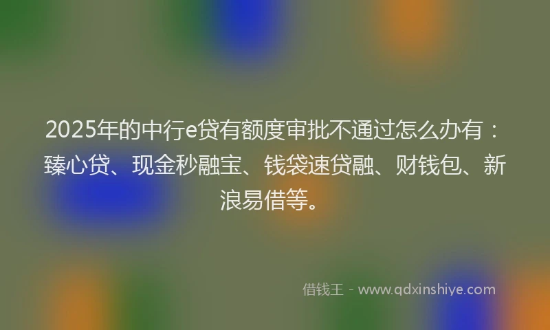 2025年的中行e贷有额度审批不通过怎么办有：臻心贷、现金秒融宝、钱袋速贷融、财钱包、新浪易借等。