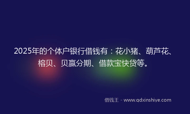 2025年的个体户银行借钱有:花小猪、葫芦花、榕贝、贝赢分期、借款宝快贷等。