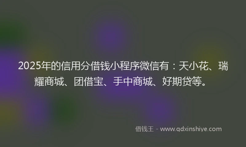 2025年的信用分借钱小程序微信有：天小花、瑞耀商城、团借宝、手中商城、好期贷等。