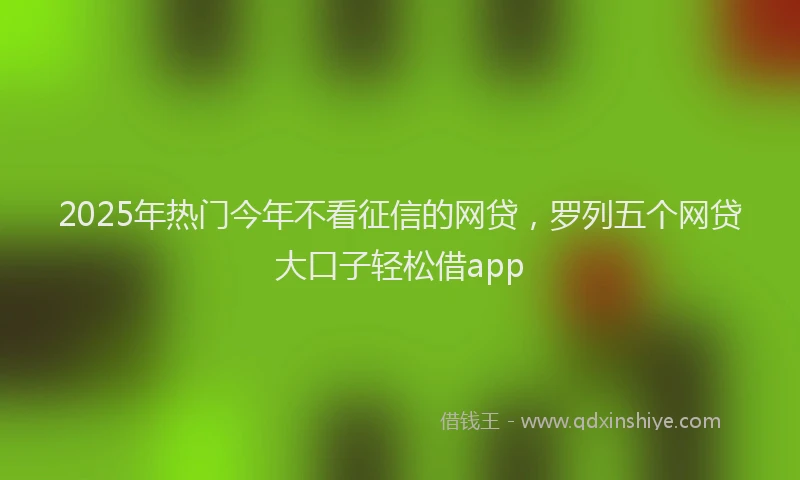 2025年热门今年不看征信的网贷，罗列五个网贷大口子轻松借app