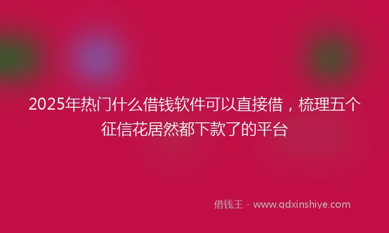 2025年热门什么借钱软件可以直接借，梳理五个征信花居然都下款了的平台