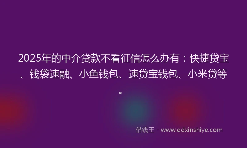 2025年的中介贷款不看征信怎么办有：快捷贷宝、钱袋速融、小鱼钱包、速贷宝钱包、小米贷等。