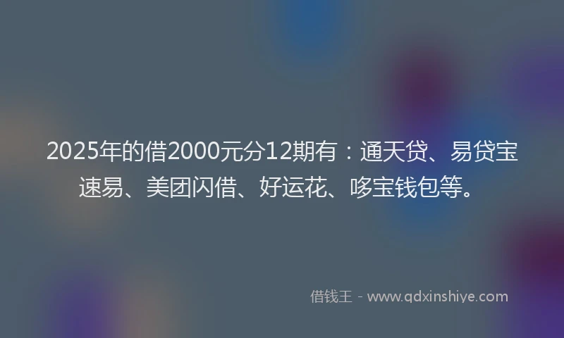 2025年的借2000元分12期有：通天贷、易贷宝速易、美团闪借、好运花、哆宝钱包等。
