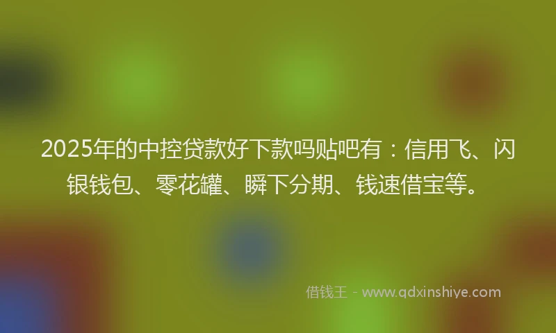 2025年的中控贷款好下款吗贴吧有：信用飞、闪银钱包、零花罐、瞬下分期、钱速借宝等。