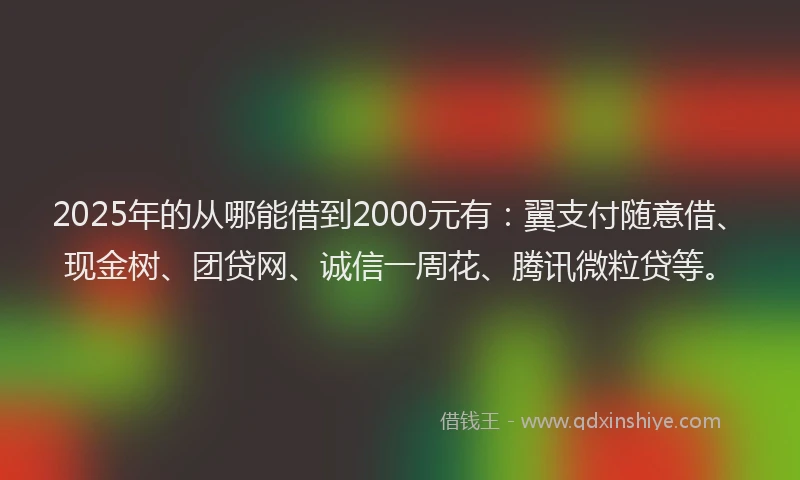 2025年的从哪能借到2000元有：翼支付随意借、现金树、团贷网、诚信一周花、腾讯微粒贷等。
