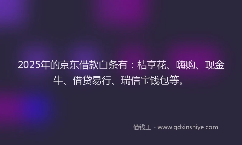 2025年的京东借款白条有：桔享花、嗨购、现金牛、借贷易行、瑞信宝钱包等。