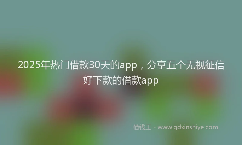2025年热门借款30天的app，分享五个无视征信好下款的借款app