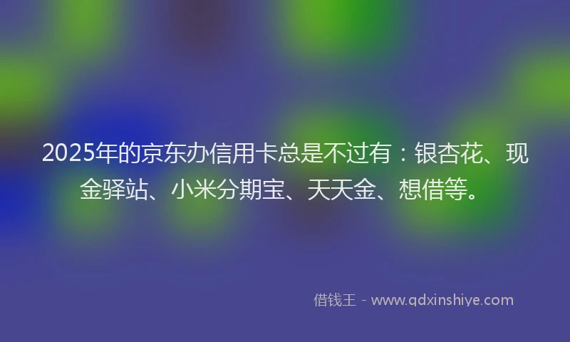 2025年的京东办信用卡总是不过有：银杏花、现金驿站、小米分期宝、天天金、想借等。