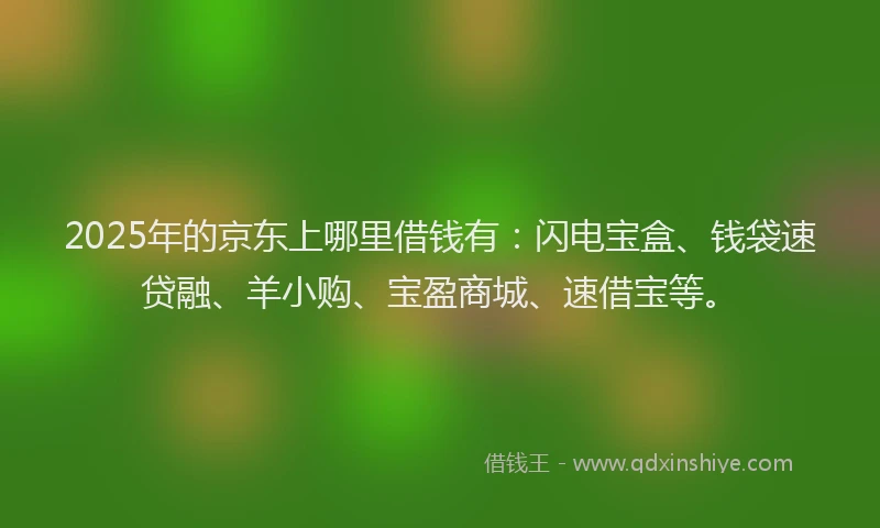 2025年的京东上哪里借钱有：闪电宝盒、钱袋速贷融、羊小购、宝盈商城、速借宝等。