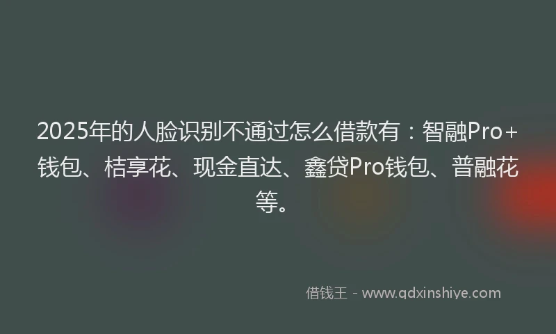 2025年的人脸识别不通过怎么借款有：智融Pro+钱包、桔享花、现金直达、鑫贷Pro钱包、普融花等。