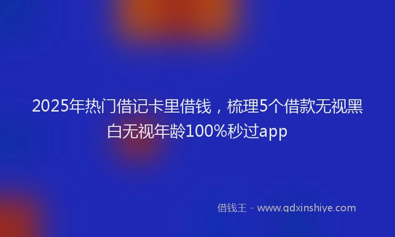 2025年热门借记卡里借钱，梳理5个借款无视黑白无视年龄100%秒过app