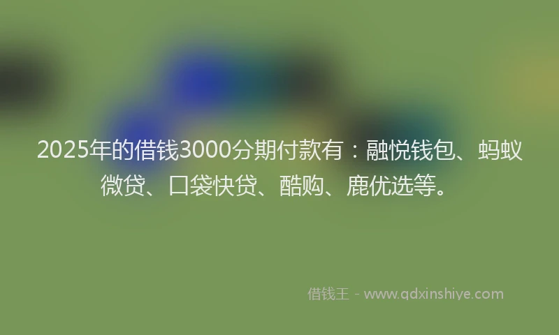 2025年的借钱3000分期付款有：融悦钱包、蚂蚁微贷、口袋快贷、酷购、鹿优选等。