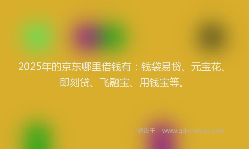 2025年的京东哪里借钱有：钱袋易贷、元宝花、即刻贷、飞融宝、用钱宝等。