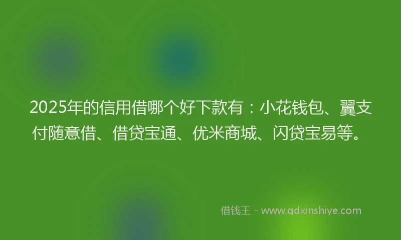 2025年的信用借哪个好下款有：小花钱包、翼支付随意借、借贷宝通、优米商城、闪贷宝易等。
