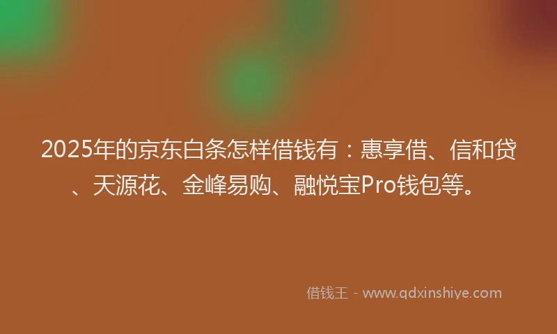 2025年的京东白条怎样借钱有：惠享借、信和贷、天源花、金峰易购、融悦宝Pro钱包等。